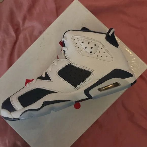 Men's Navy blue white Olympic Jordan 6